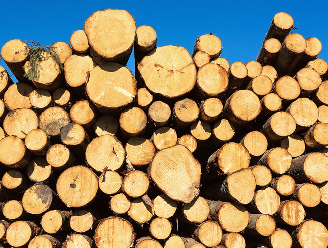 Nachwachs­ender Rohstoff